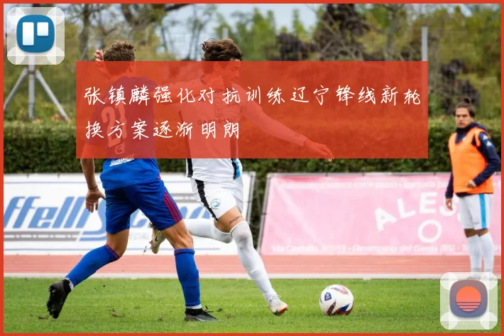 张镇麟强化对抗训练辽宁锋线新轮换方案逐渐明朗